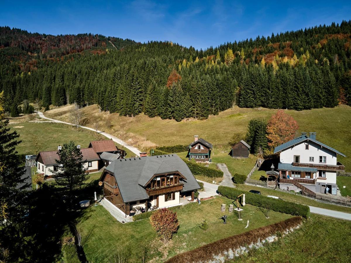 Frein Chalets - Wildalm Frein an der Murz ภายนอก รูปภาพ