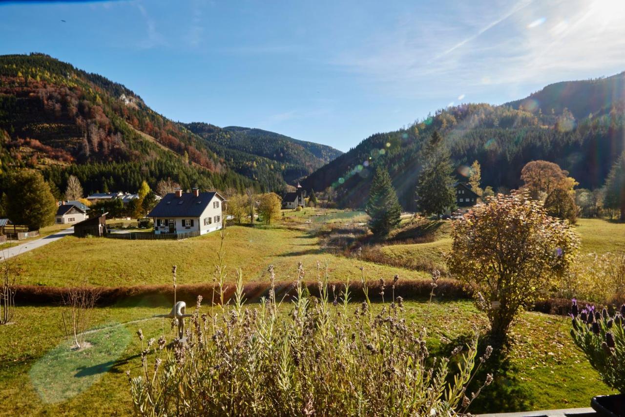 Frein Chalets - Wildalm Frein an der Murz ภายนอก รูปภาพ