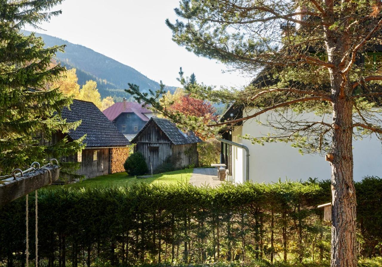 Frein Chalets - Wildalm Frein an der Murz ภายนอก รูปภาพ