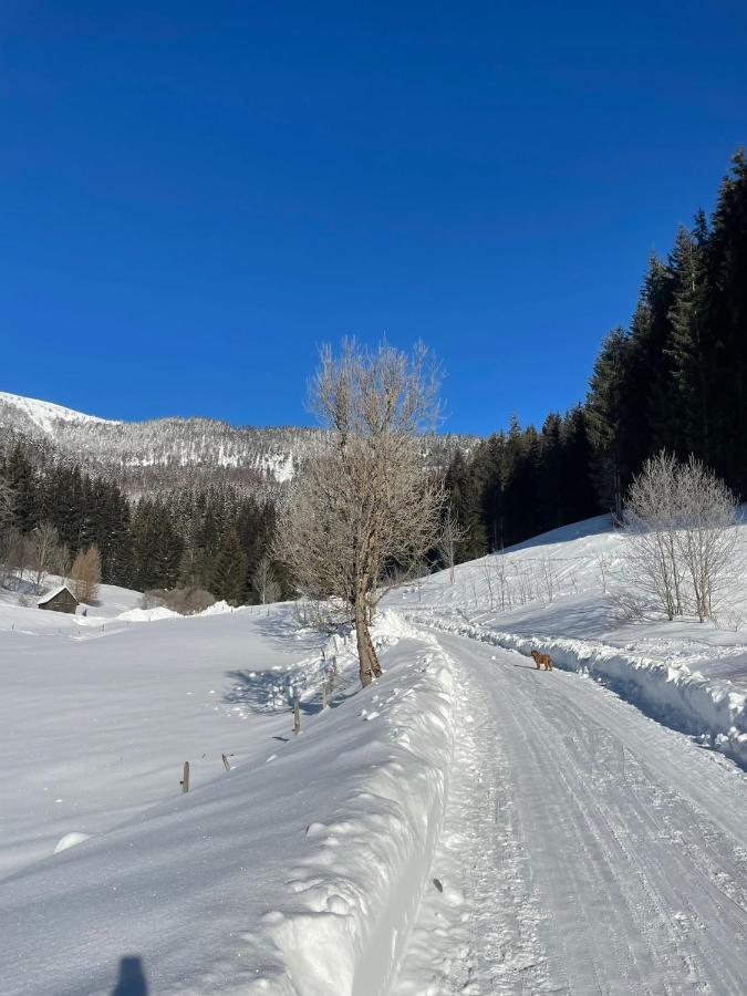 Frein Chalets - Wildalm Frein an der Murz ภายนอก รูปภาพ