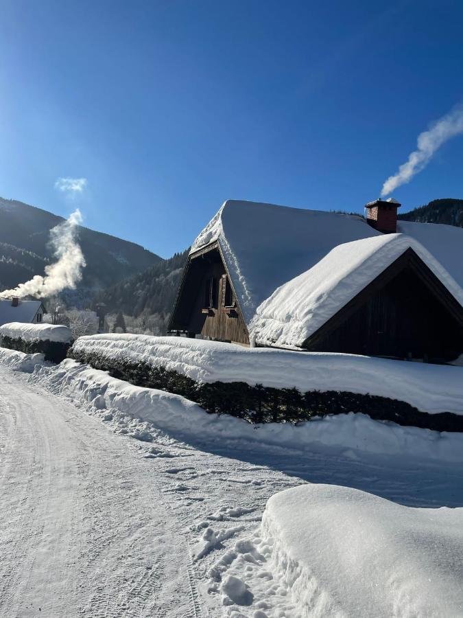 Frein Chalets - Wildalm Frein an der Murz ภายนอก รูปภาพ