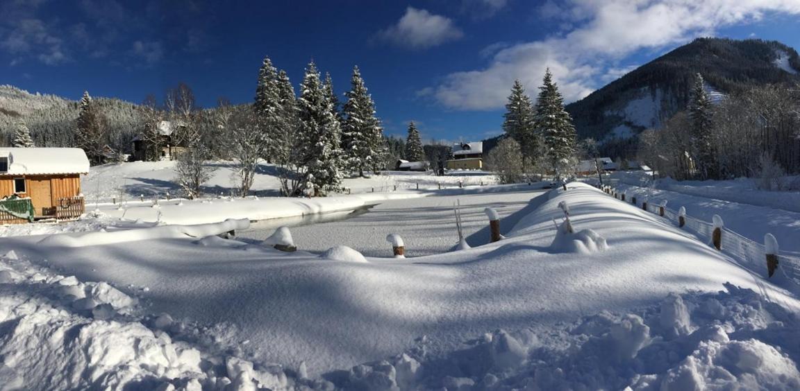 Frein Chalets - Wildalm Frein an der Murz ภายนอก รูปภาพ